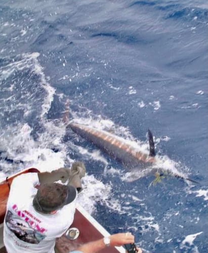 Islamorada Swordfish Big Game Hunt In Islamorada