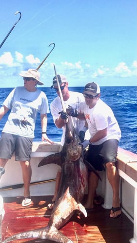 Islamorada Swordfish Big Game Hunt In Islamorada