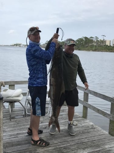 Inshore Targets, Nearshore Trolling In Orange Beach