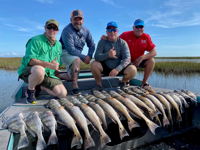 Rockport Redfish And Black Drum In Rockport