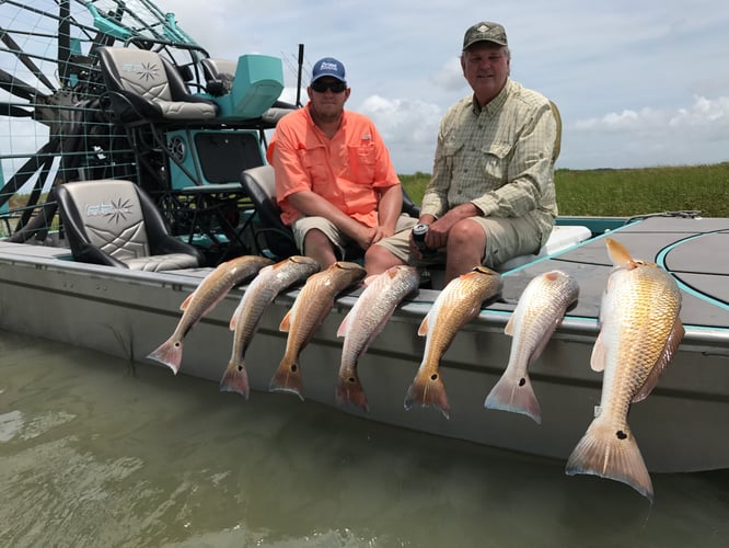 Rockport Redfish And Black Drum In Rockport