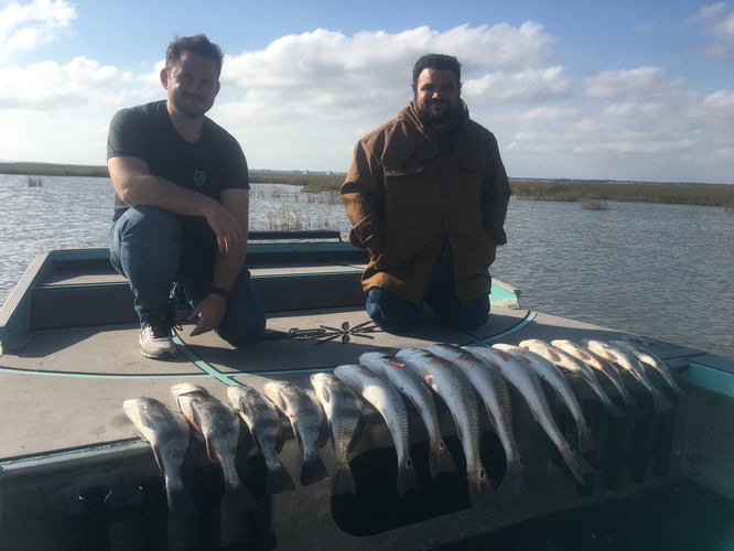 Rockport Redfish And Black Drum In Rockport