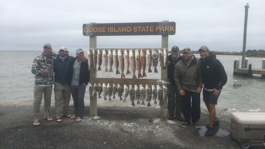 Rockport Redfish And Black Drum In Rockport