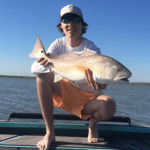 Rockport Redfish And Black Drum In Rockport