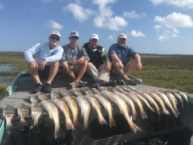 Rockport Redfish And Black Drum In Rockport