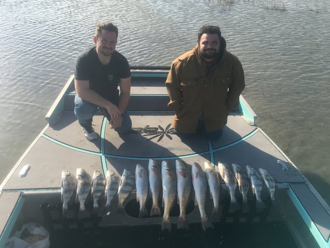 Rockport Redfish And Black Drum In Rockport