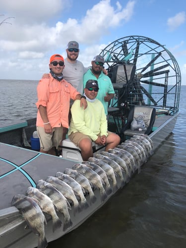 Rockport Redfish And Black Drum In Rockport