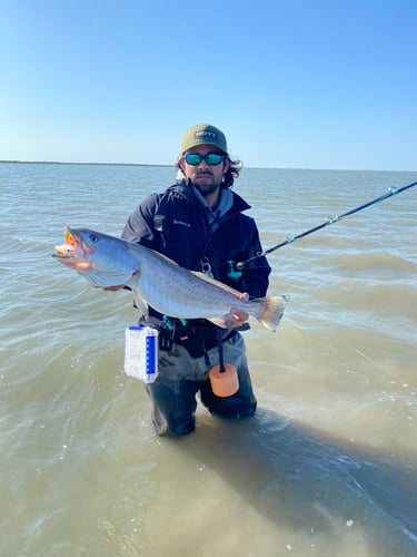 Coastal Bend Cast And Blast In Rockport