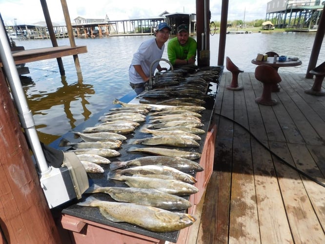 Bayou Speckled Trout Special in Port Sulphur
