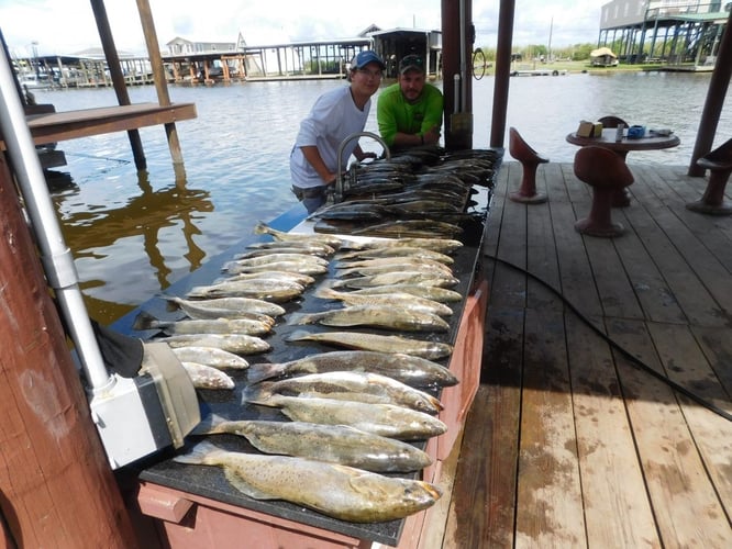 Bayou Speckled Trout Special In Port Sulphur