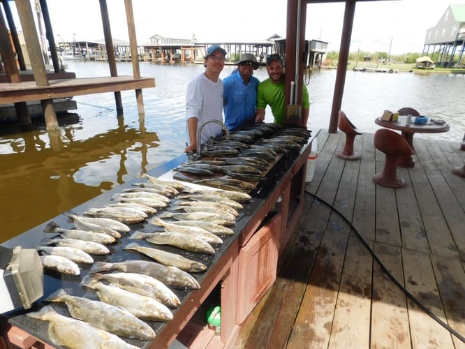 Bayou Speckled Trout Special In Port Sulphur