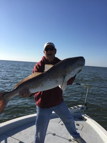 Bayou Speckled Trout Special In Port Sulphur