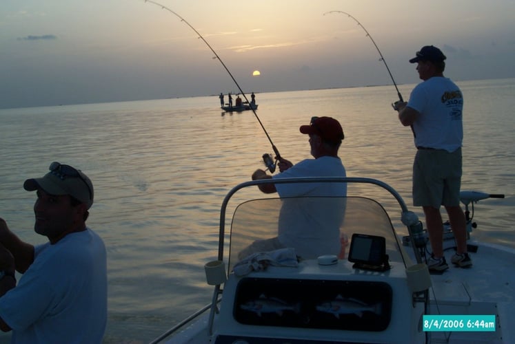 Bayou Speckled Trout Special in Port Sulphur