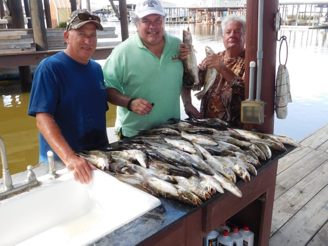 Bayou Speckled Trout Special In Port Sulphur