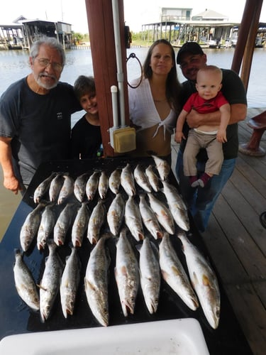 Bayou Speckled Trout Special In Port Sulphur