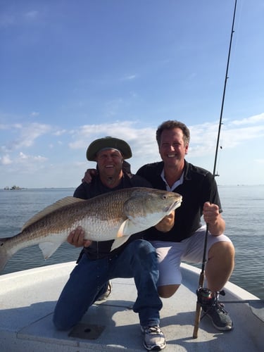 Bayou Speckled Trout Special In Port Sulphur