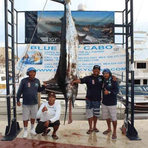 Finger Banks Trip - 60' Bertram 13 Hrs In Cabo San Lucas