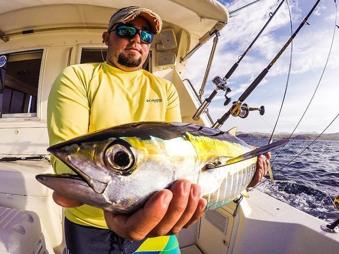 Finger Banks Trip - 43' Riviera In Cabo San Lucas