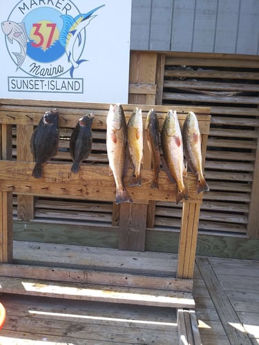 Coastal Bend On Artificials In Corpus Christi