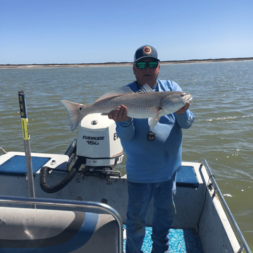 Coastal Bend Live Action! In Port Aransas