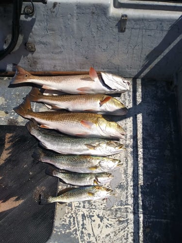 Coastal Bend On Artificials In Corpus Christi