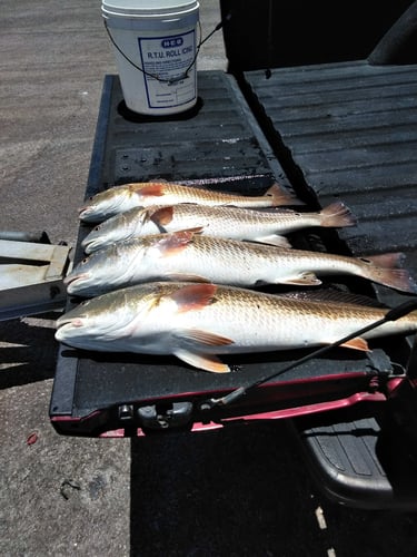 Coastal Bend On Artificials In Corpus Christi