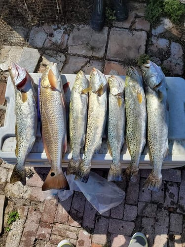 Coastal Bend On Artificials In Corpus Christi