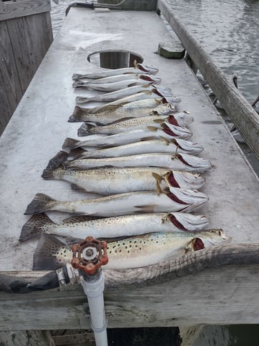 Coastal Bend On Artificials In Corpus Christi