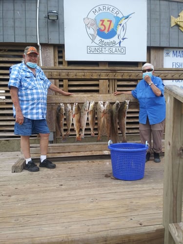 Coastal Bend Live Action! In Port Aransas