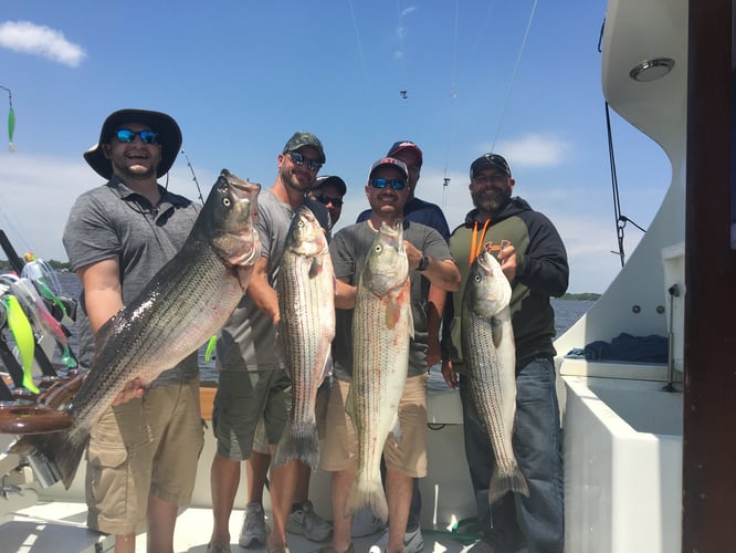 Sinepuxent Bay Rockfish Trip in Ocean City