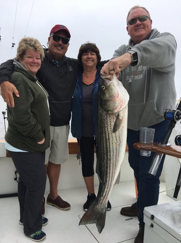 Sinepuxent Bay Rockfish Trip in Ocean City