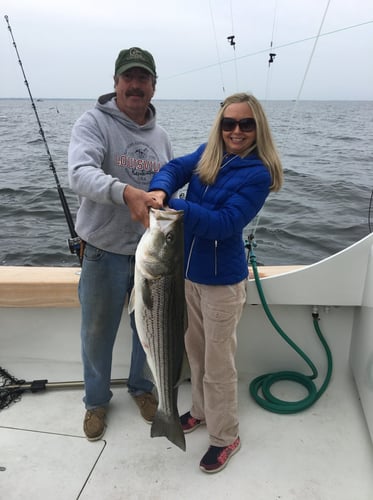 Sinepuxent Bay Rockfish Trip in Ocean City