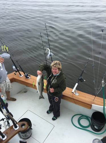 Sinepuxent Bay Rockfish Trip in Ocean City