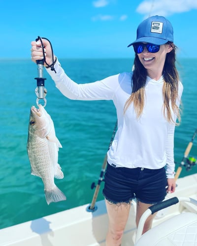 Marquesas Keys Backcountry Fishing In Key West