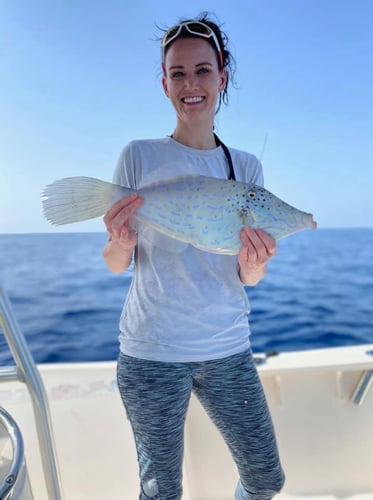 Epic Biscayne Bay Trip In Key Largo