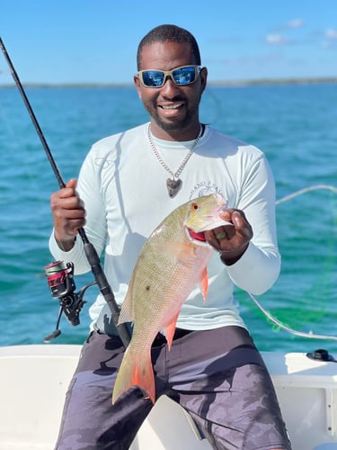 Epic Biscayne Bay Trip In Key Largo