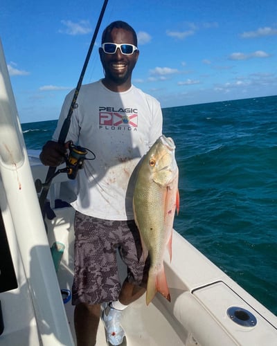 Epic Biscayne Bay Trip In Key Largo