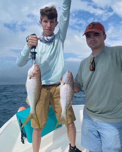 Epic Biscayne Bay Trip In Key Largo