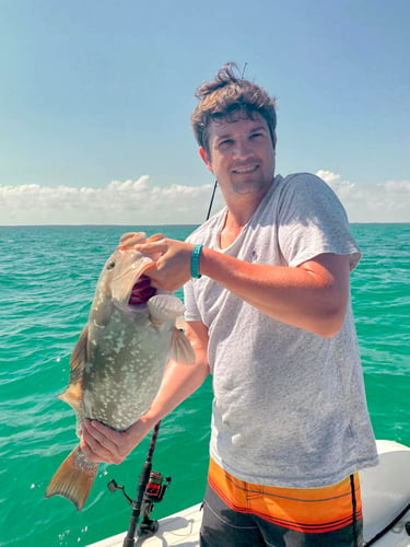 Epic Biscayne Bay Trip In Key Largo