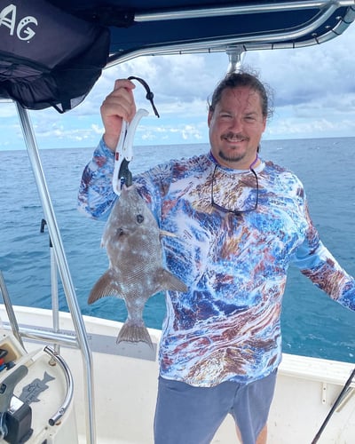 Epic Biscayne Bay Trip in Key Largo