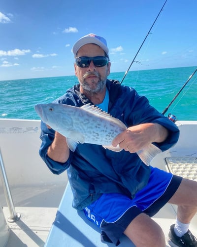 Epic Biscayne Bay Trip In Key Largo