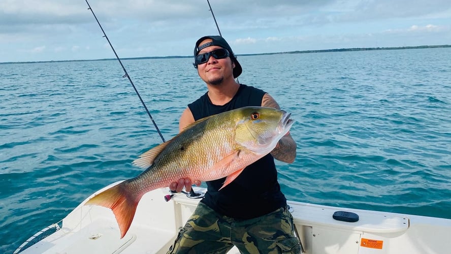 Epic Biscayne Bay Trip In Key Largo