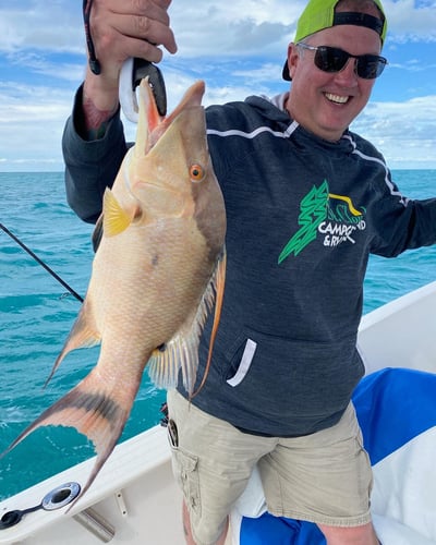 Epic Biscayne Bay Trip In Key Largo