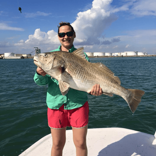 Aransas Pass Inshore Action In Aransas Pass