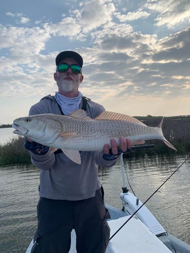 Aransas Pass Inshore Action In Aransas Pass