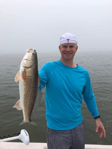 Aransas Pass Inshore Action In Aransas Pass