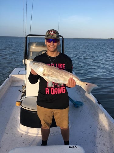 Aransas Pass Inshore Action In Aransas Pass