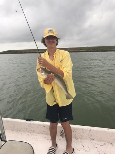 Aransas Pass Inshore Action In Aransas Pass