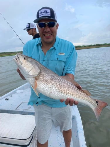 Aransas Pass Inshore Action In Aransas Pass