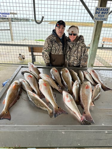 Gettin' On 'Em Down In Matagorda In Matagorda